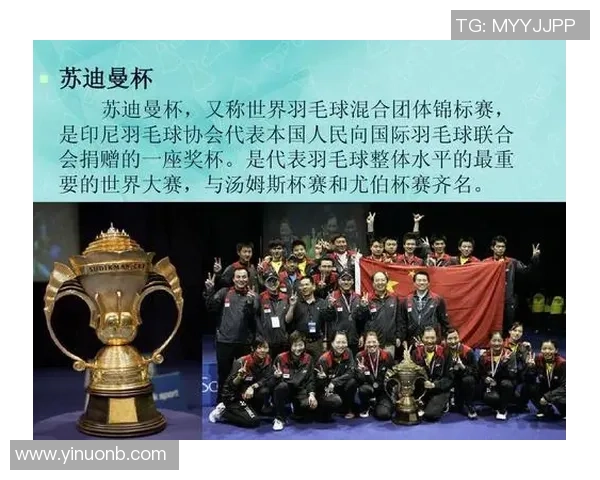上海羽毛球队杯赛精彩配合分析与表现评估